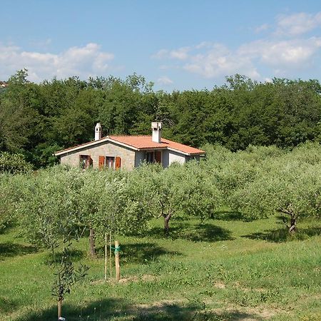 Villa Olivahouse Marezige Exterior foto