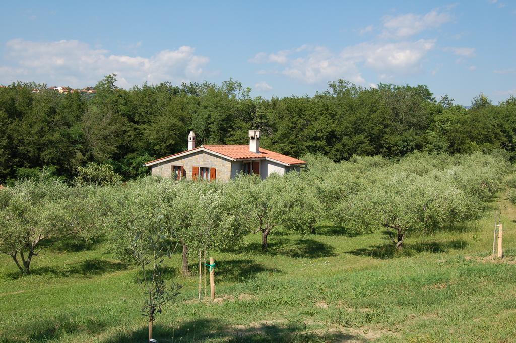 Villa Olivahouse Marezige Exterior foto